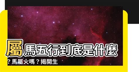 生肖馬五行|【生肖馬五行】生肖馬五行屬什麼？揭曉馬的五行相生相剋秘密